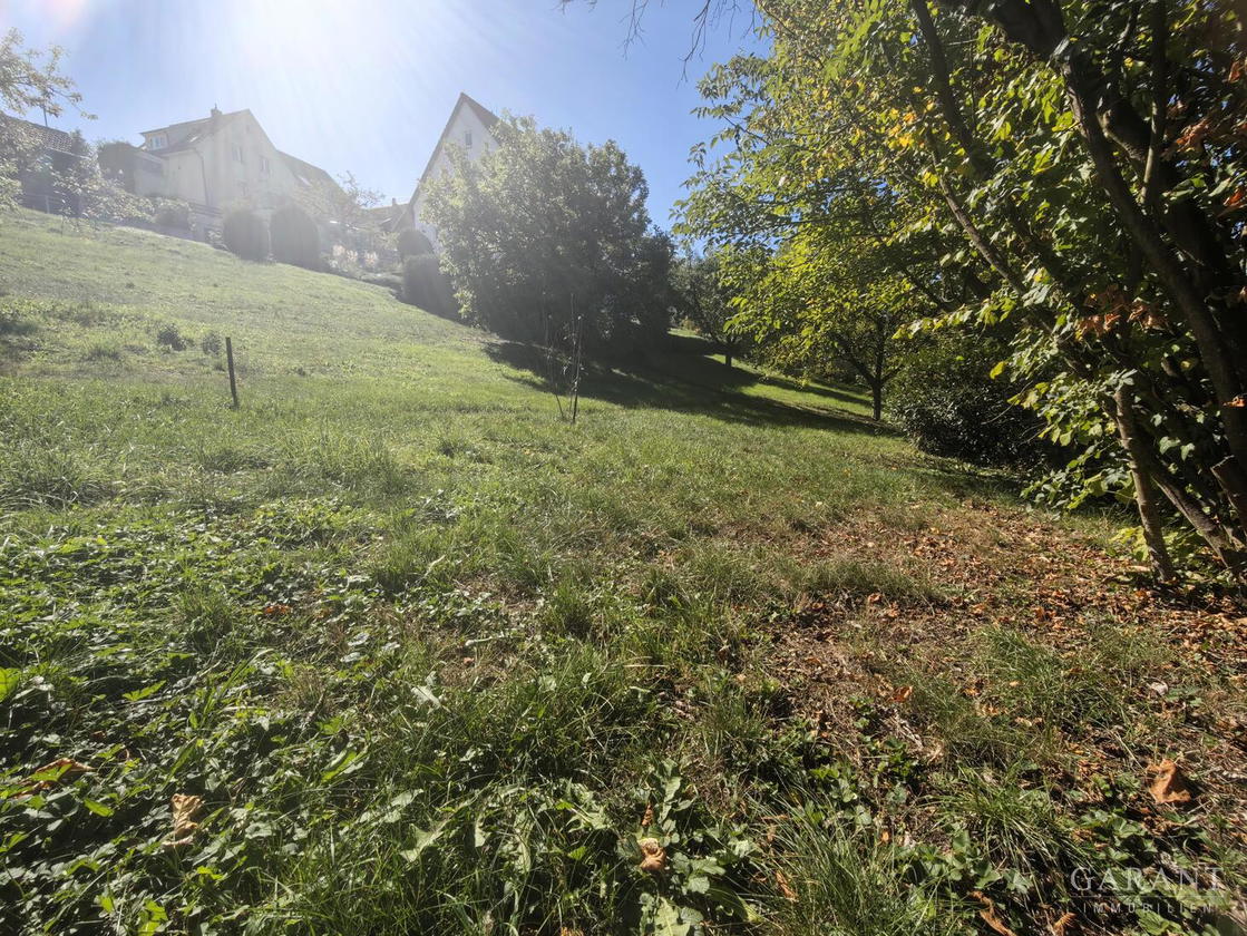 Spaten in Erde - Grüner Garten