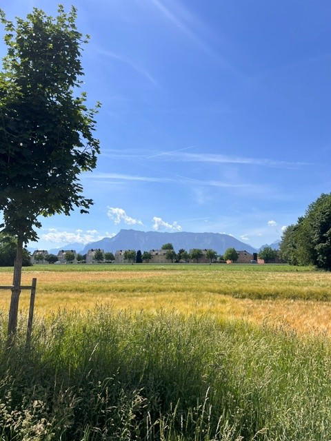Aussichten
