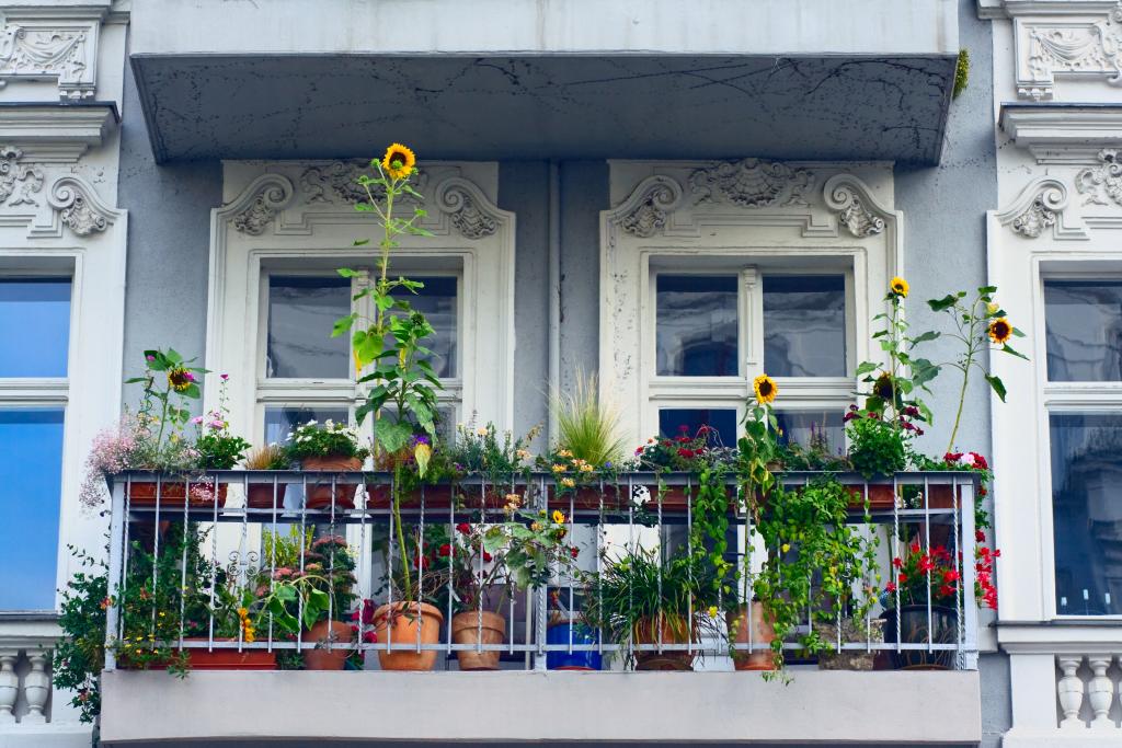 Balkon bepflanzt