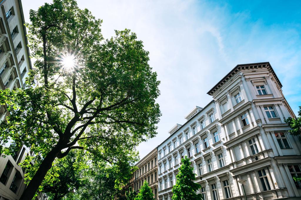 Vermietete Wohnung
