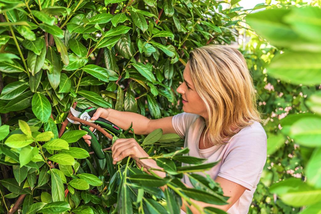 Frau schneidet Ast mit einer Akku-Gartenschere