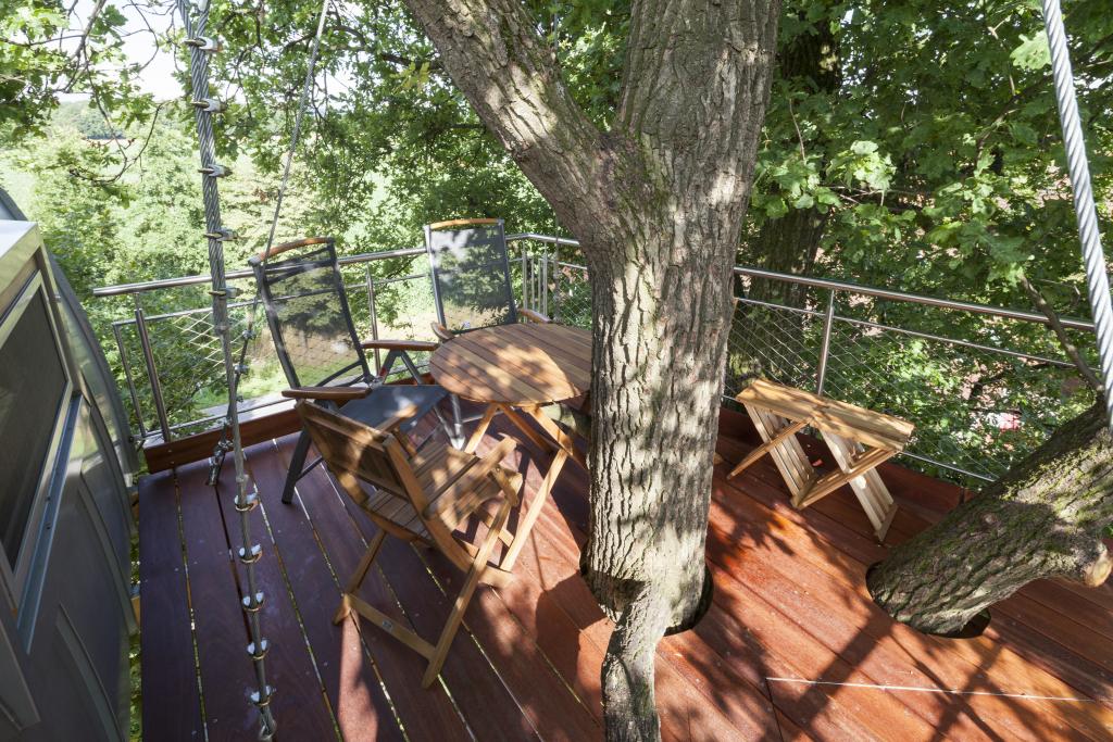Terrasse eines Baumhauses in der Baumkrone einer Eiche.