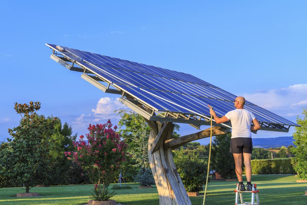 Photovoltaik-Modul auf einem Baum