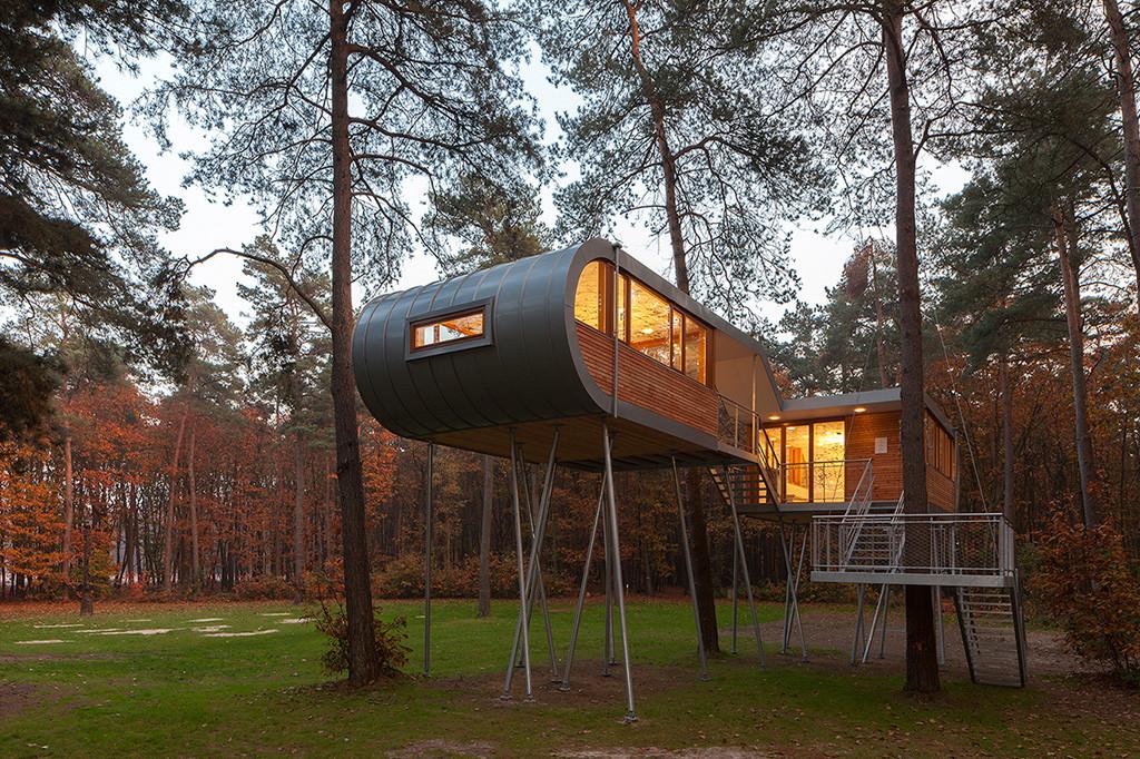 Modernes Baumhaus auf Stelzen mit Treppenaufgang am Waldrand.