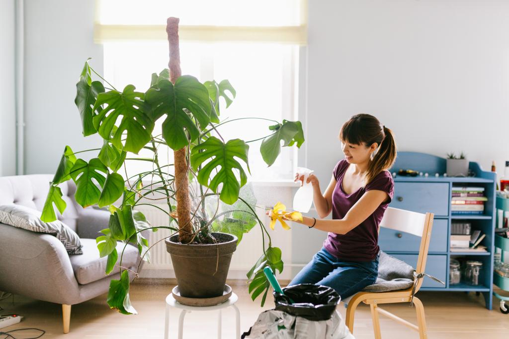 Plantfluencerin mit Monstera-Pflanze