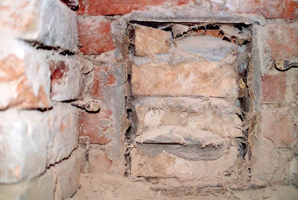 Holzschwamm erkennen: Myzel des Echten Hausschwamms im Mauerwerk