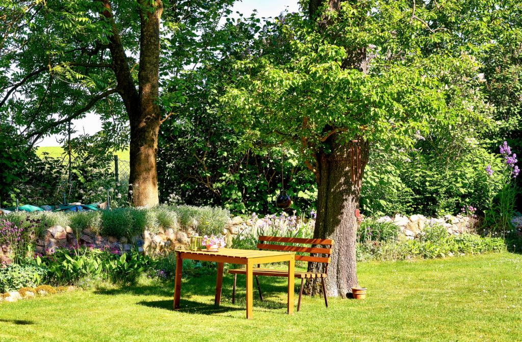 Garten mit Tisch und Bank unter einem Baum