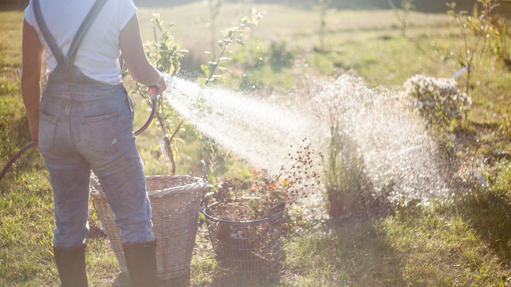 Eine Frau bewässert den Garten