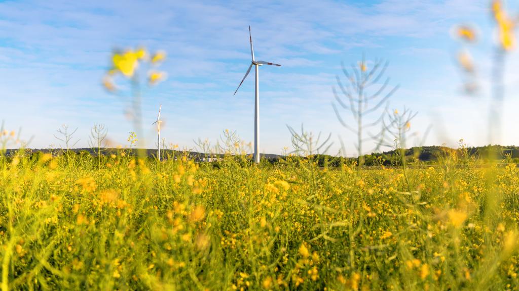 Windrad erzeugt saubere Energie.