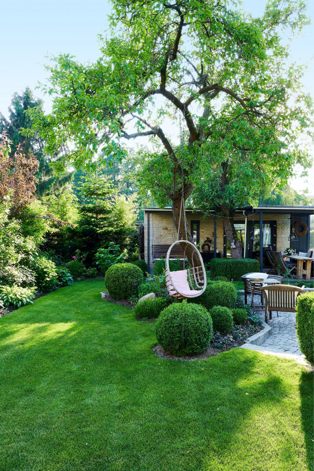 Blick in den Garten eines Einfamilienhauses mit Buchsbaumkugeln und Hängesessel im Baum.