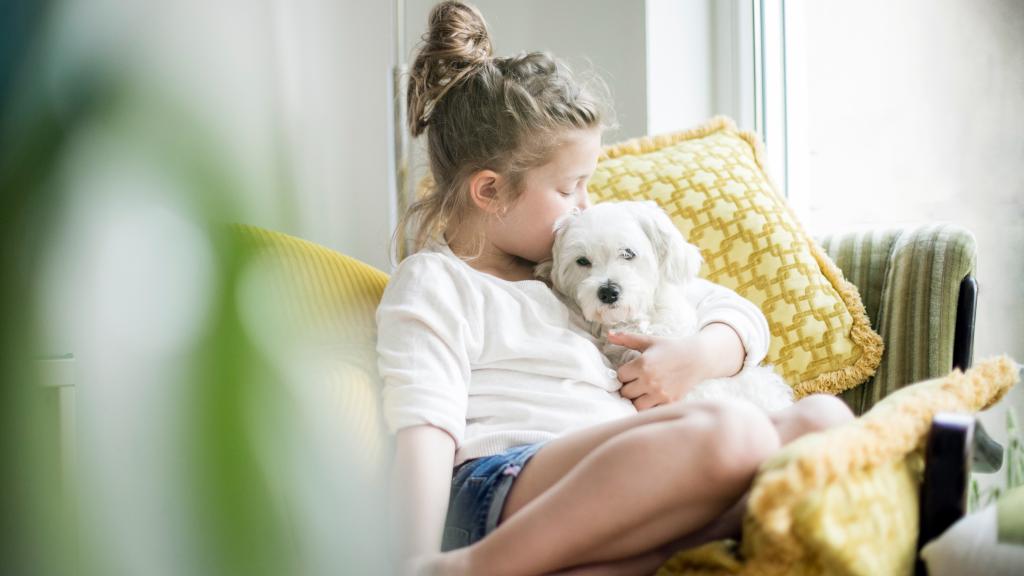 Ein kleines Mädchen kuschelt auf einem Sessel mit ihrem Hund