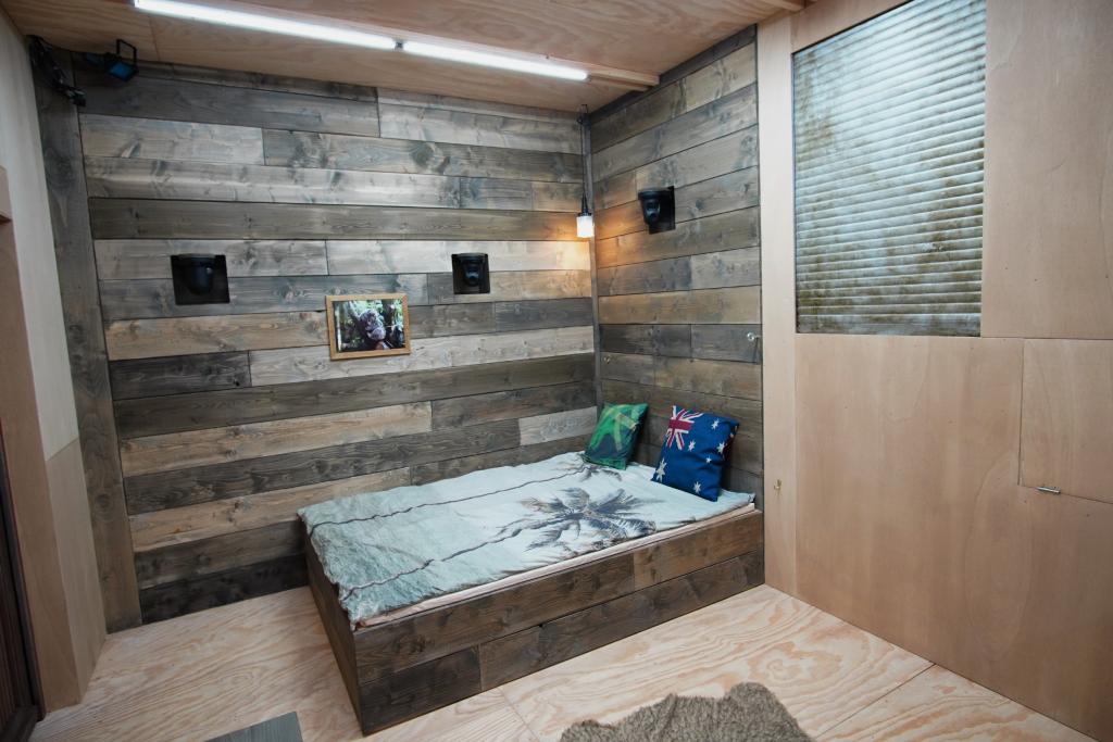 "Ich bin ein Star - Die große Dschungelshow": Schlafbereich mit Bett im Tiny House.