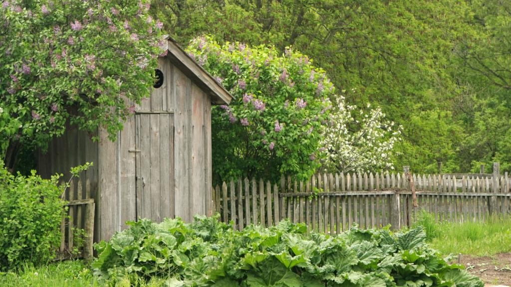 Plumpsklo auf einem eingewachsenem Gartengrundstück im Sommer.