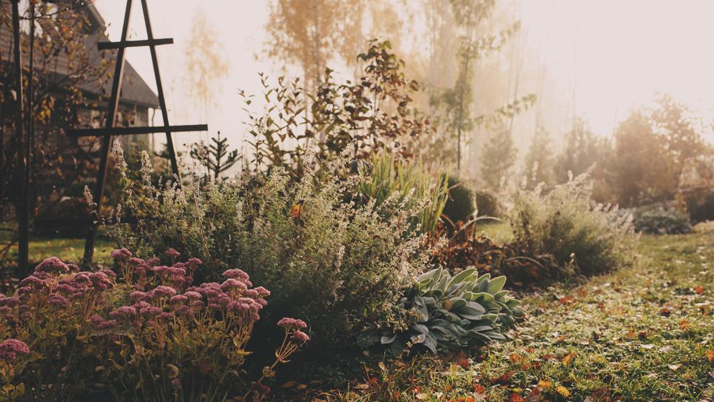 Garten im Winter