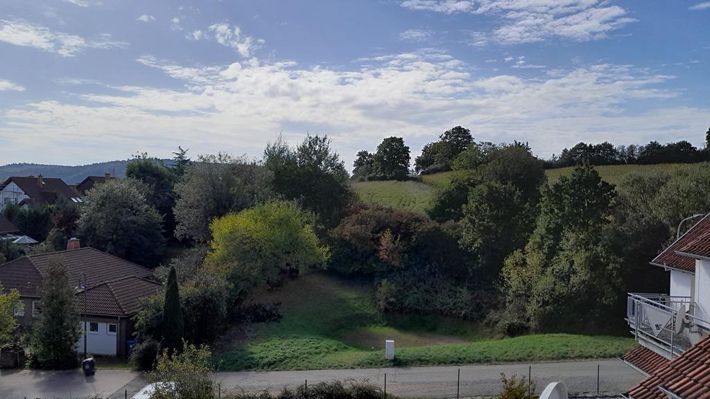 Blich vom Wohnzimmer nach drausen (1).jpg