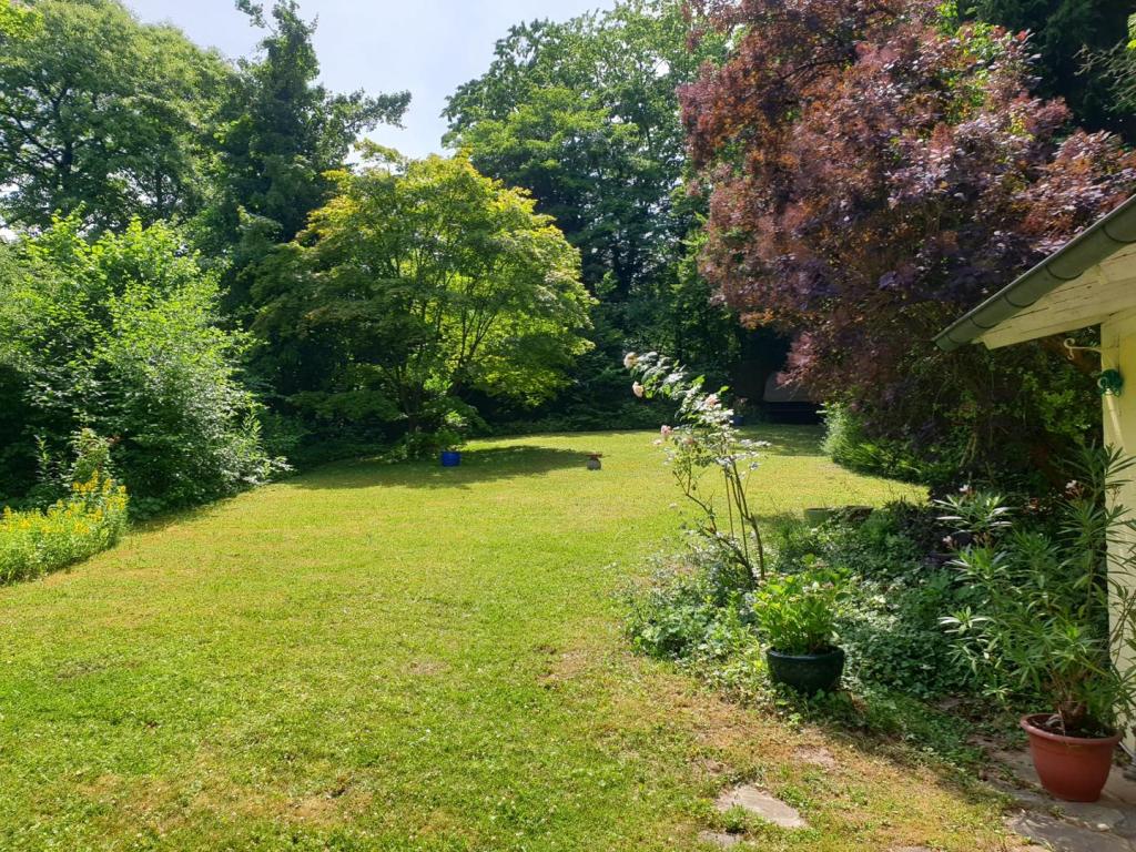 Teilansicht Garten (1)