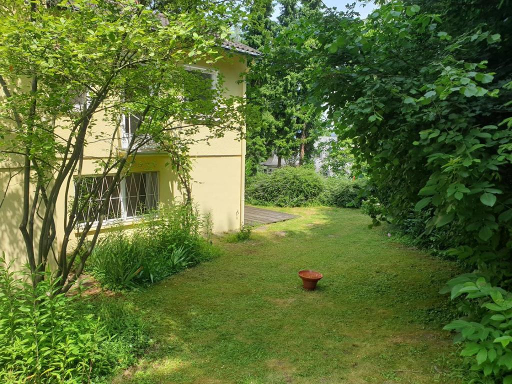 Teilansichten Haus Rückseite (4)
