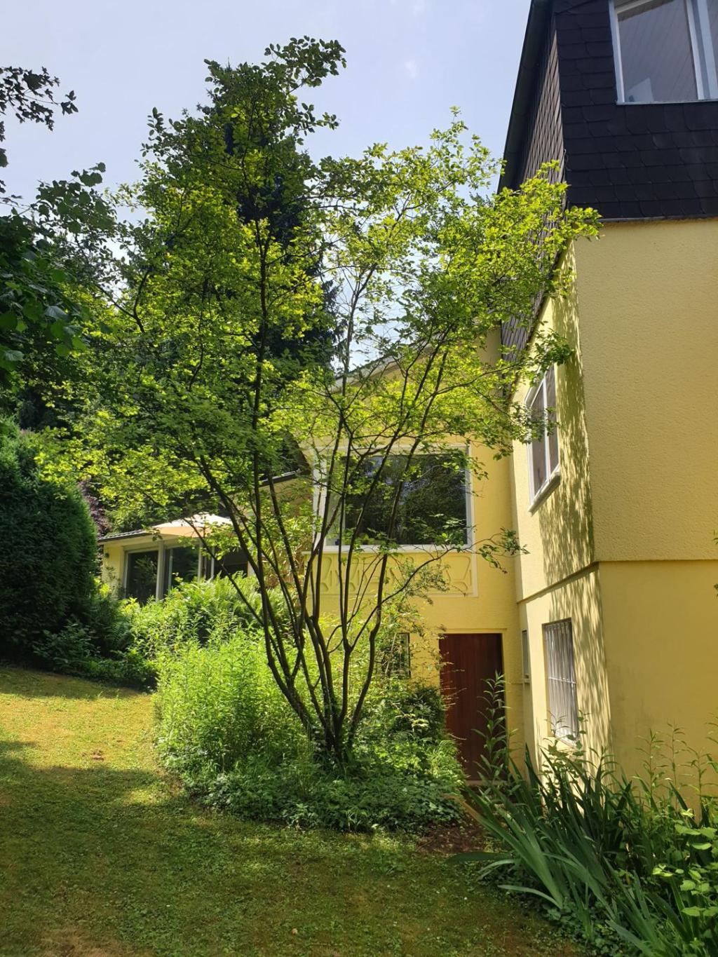 Teilansichten Haus Rückseite (5)