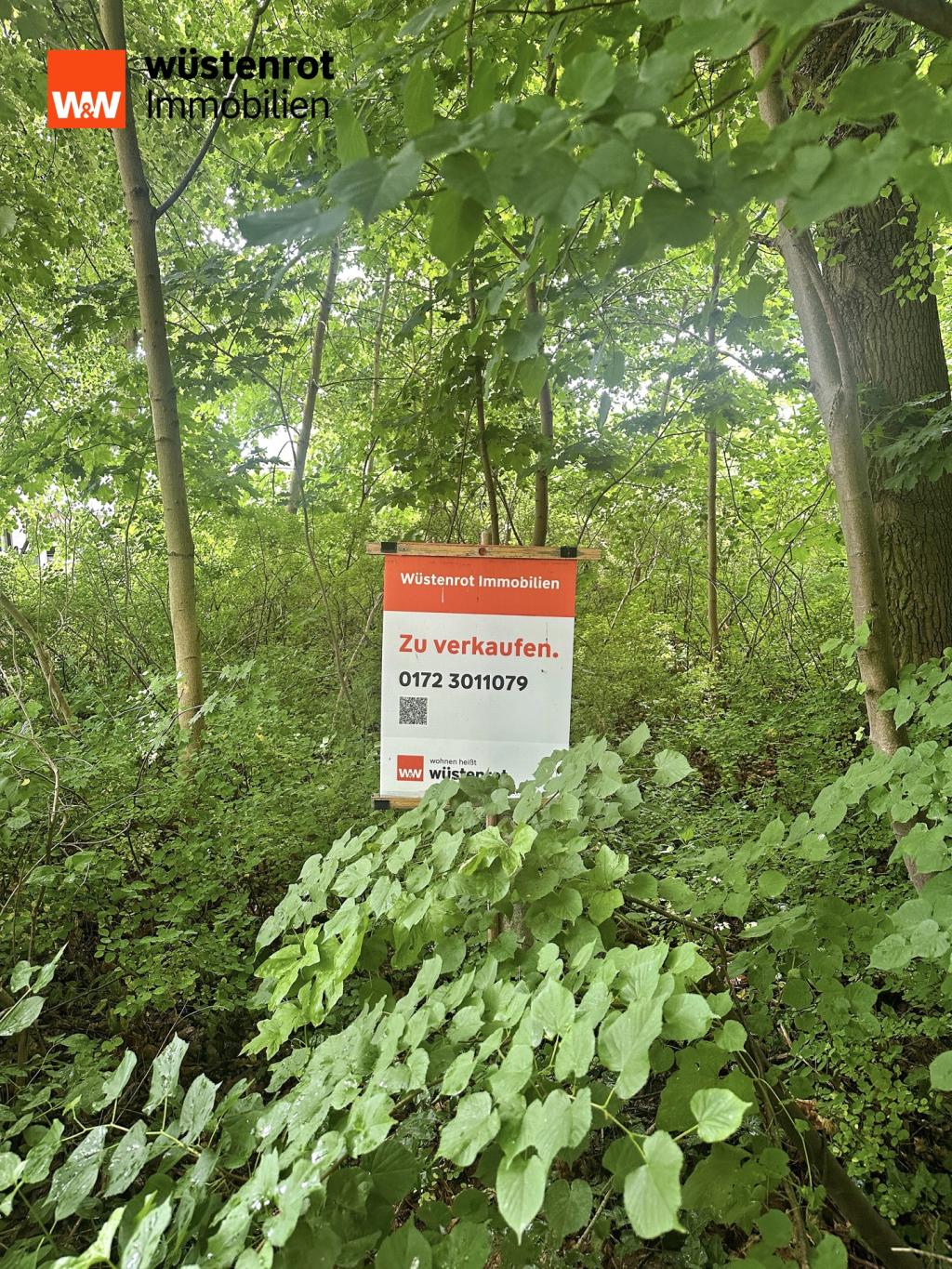 Vorderseite