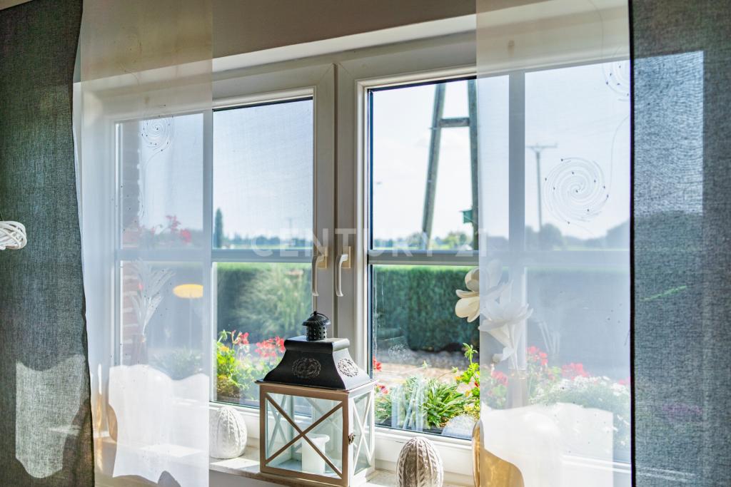Aussicht vom Esszimmer in den Vorgarten