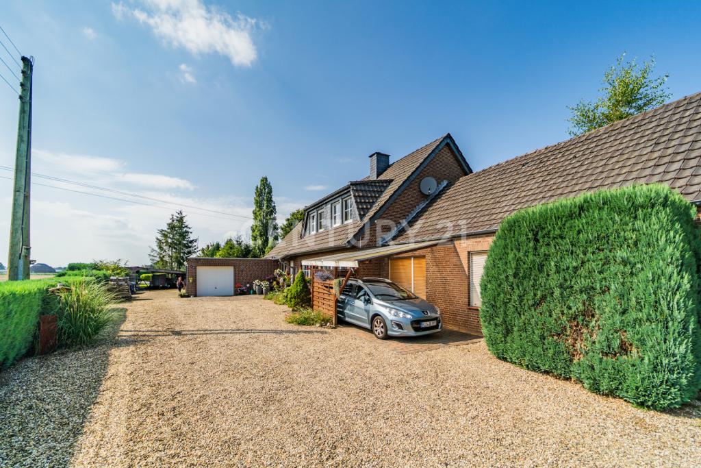 Auffahrt mit Stellplatz und Garage