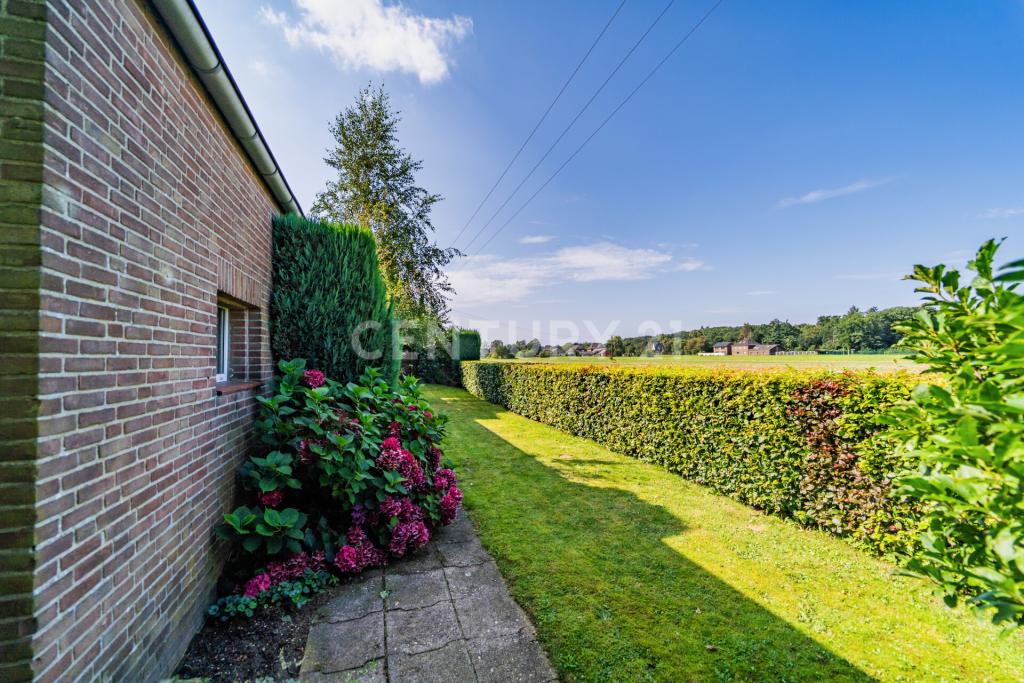 Garten rund ums Haus