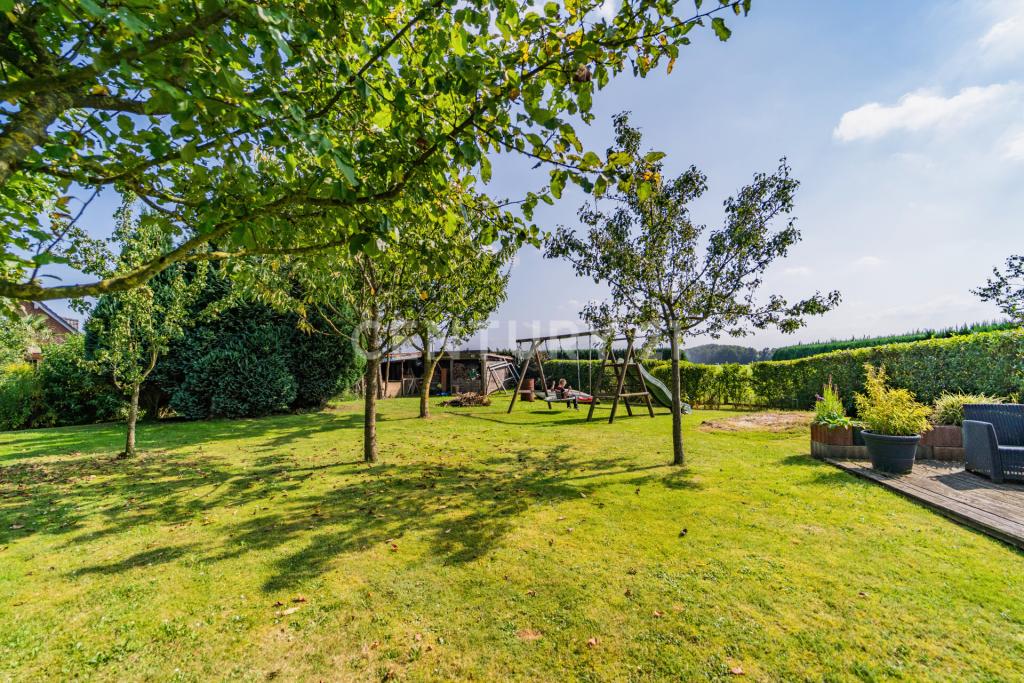 ein Blick durch den großen Garten