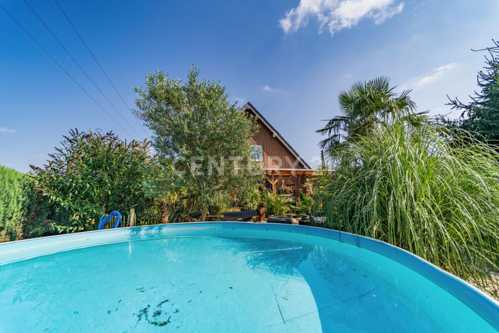 Pool mit Blick zum Haus