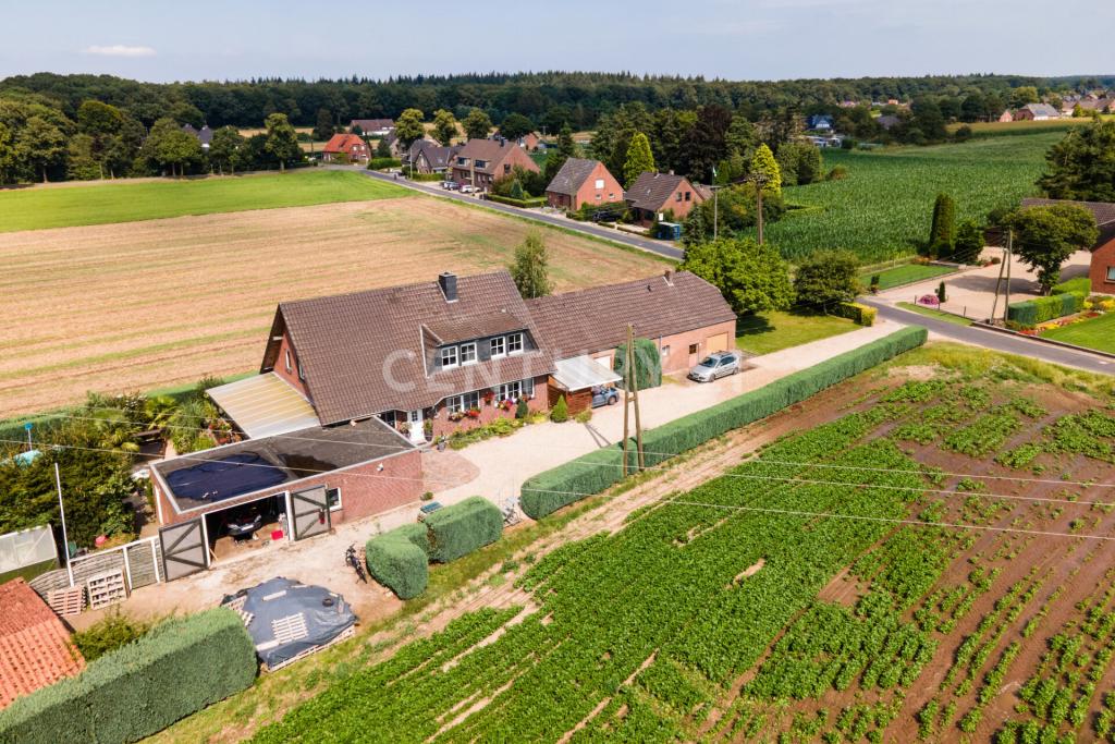 Luftaufnahme vom Haus