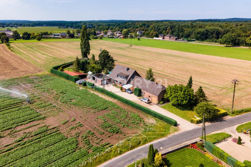 Luftaufnahme des Grundstückes