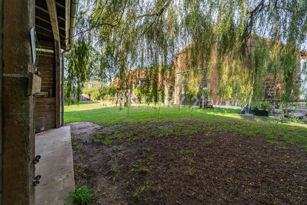 Einen Blick in den Garten