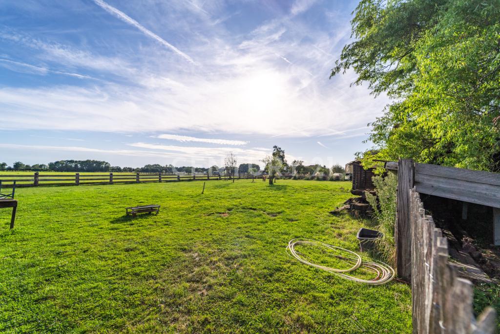große Wiese für Tierhaltung