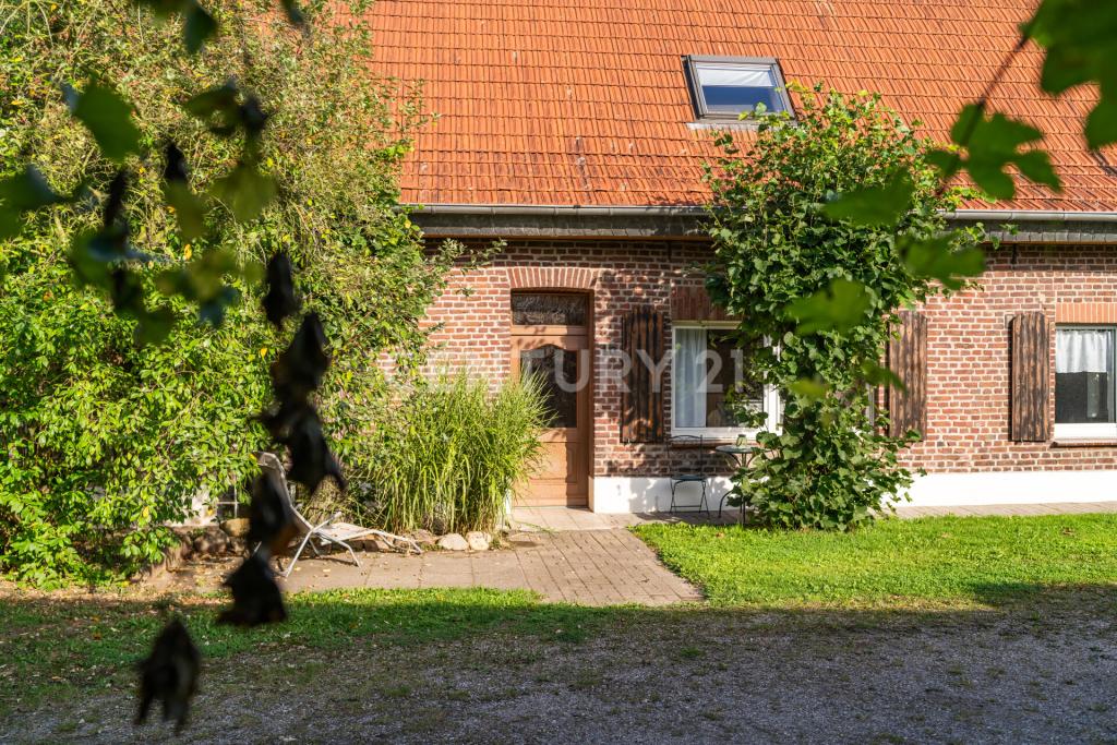 Detailbild Garten