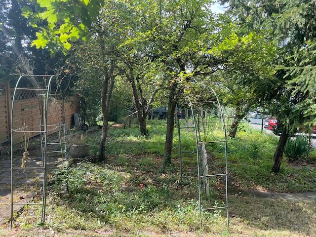 Garten mit Baumbestand