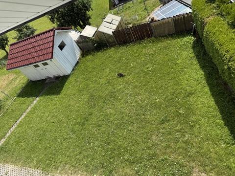 Gartengrundstück mit Gartenhütte