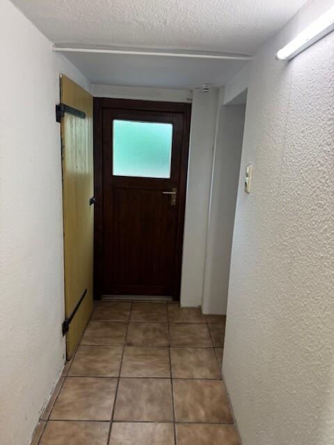 Ausgang Keller in Garten