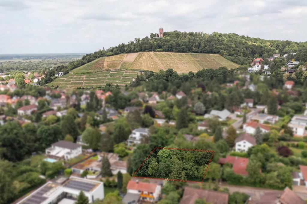 05222025-hamann-media-00212