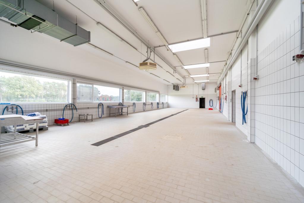 Arbeitsfläche EG