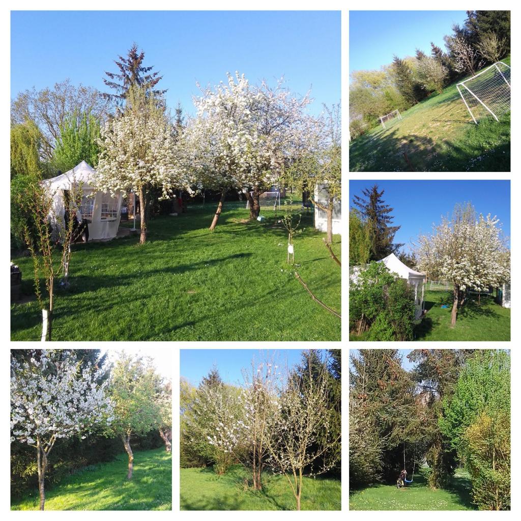 20251013_132335-COLLAGE.jpg