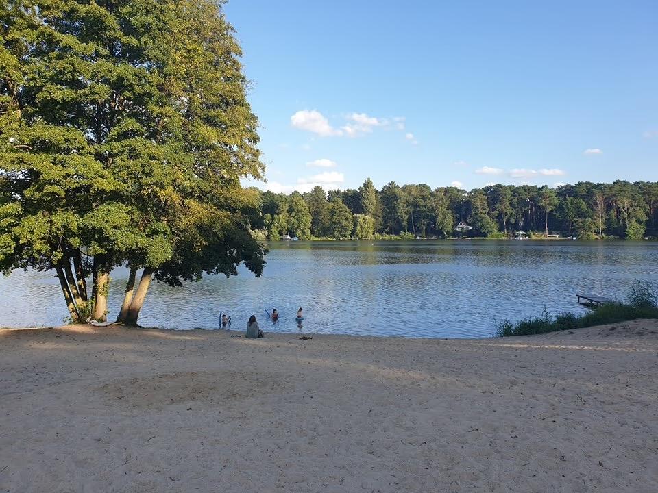 0157b1df-7e60-4295-9492-163ff03d8d72.jpeg