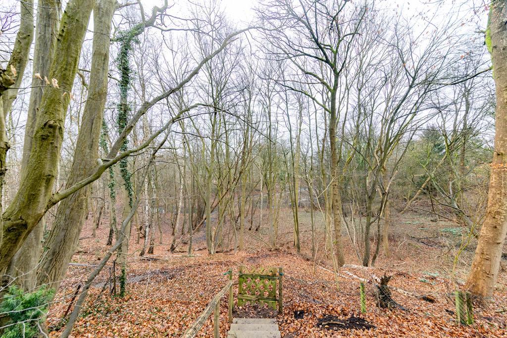 Direkter Zugang zum Wald