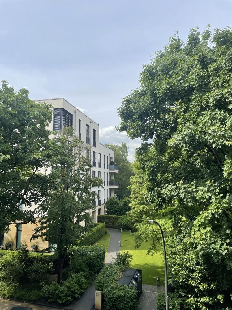 Ausblick 1