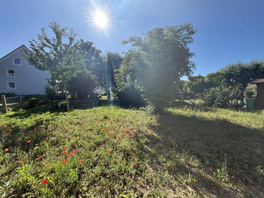 Gartenimpressionen