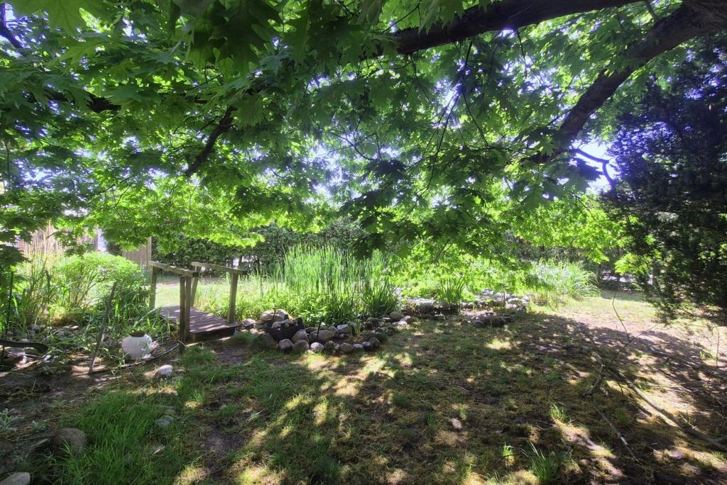 Garten mit Teich