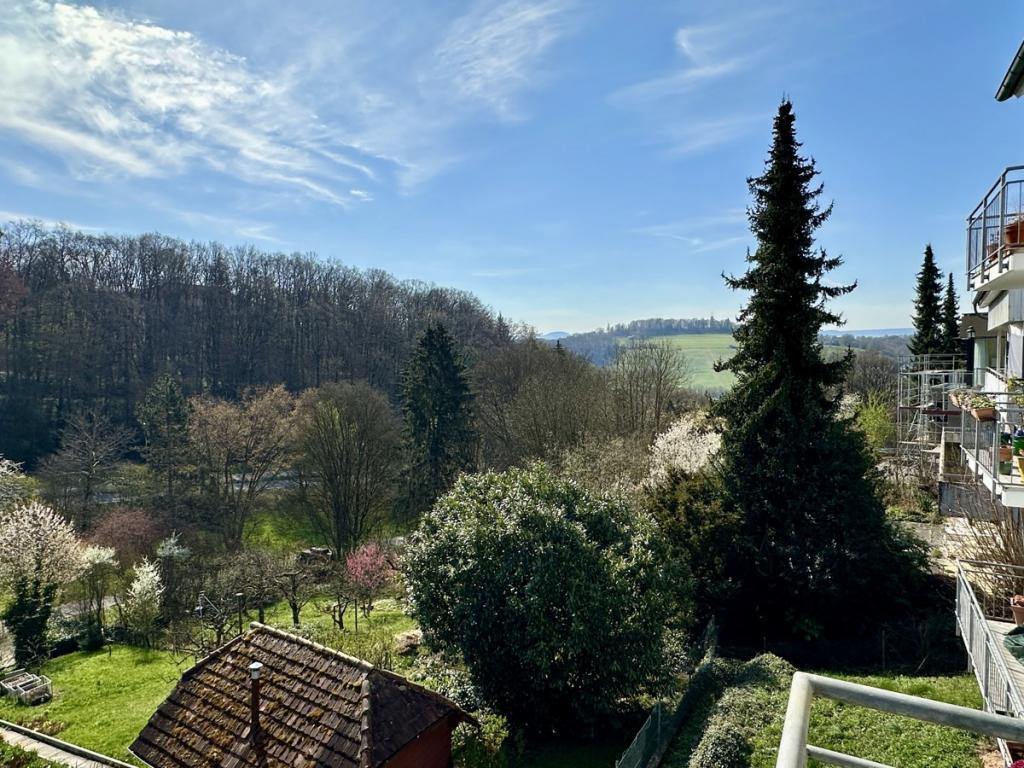 Ausblick