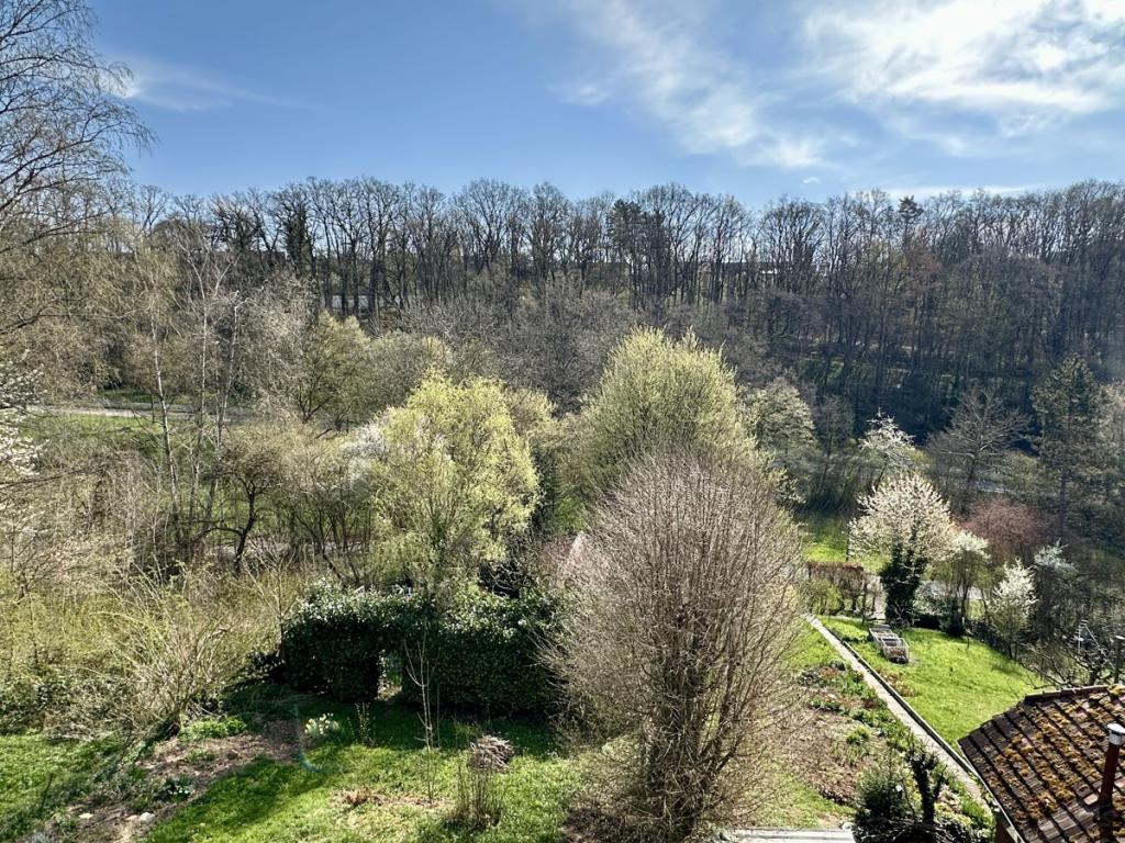 Ausblick