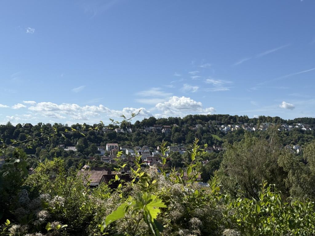 Blick von der Terrasse