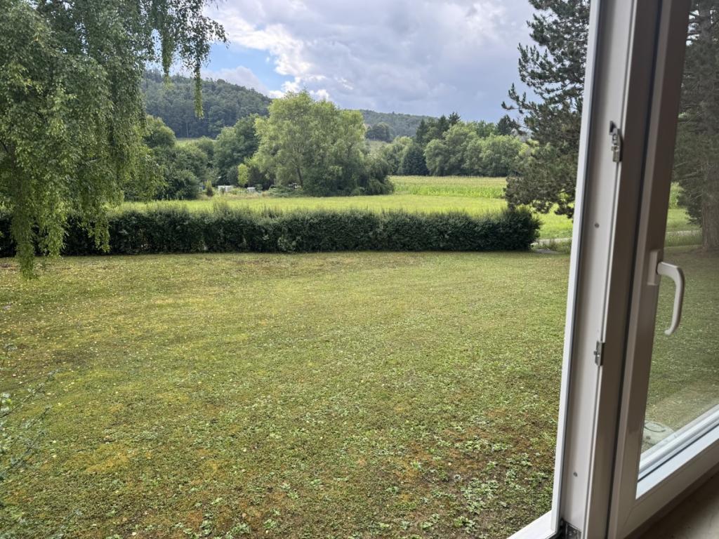 Ausblick