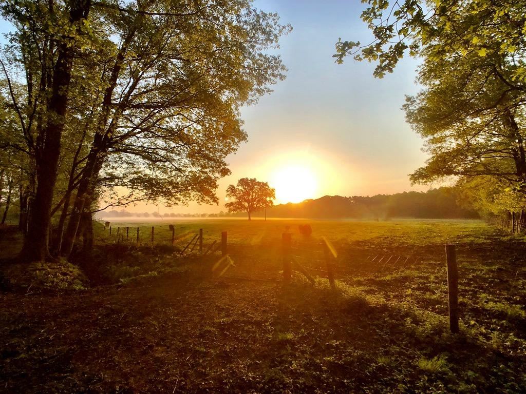 Landschaft Wehr.jpg