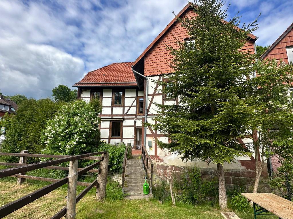 Bild4